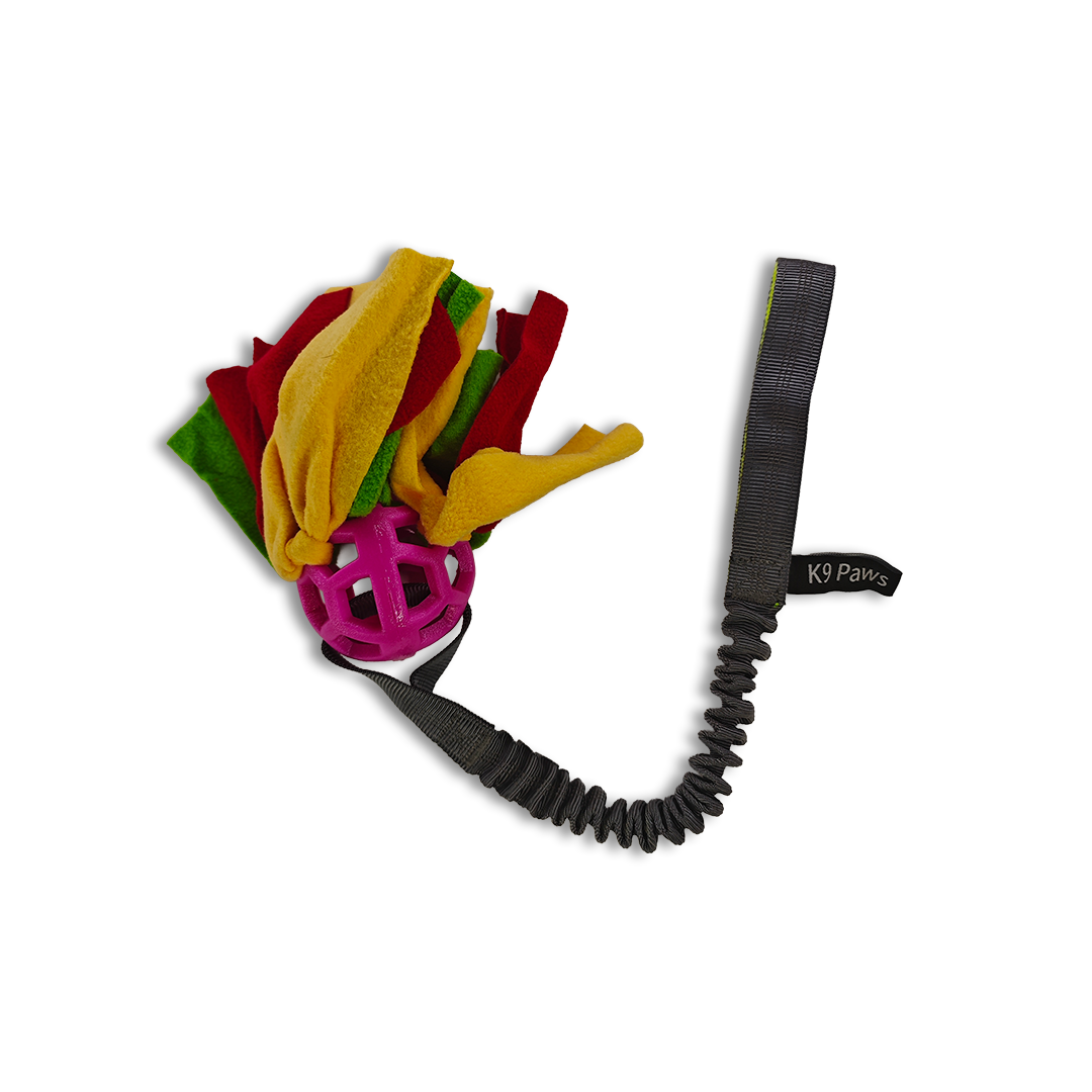 Mordedor de Adiestramiento con Asa Elástica, Pelota y Tiras de Tela